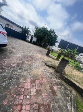 Studio Moderne à Louer – Youpwe Marina (Douala)